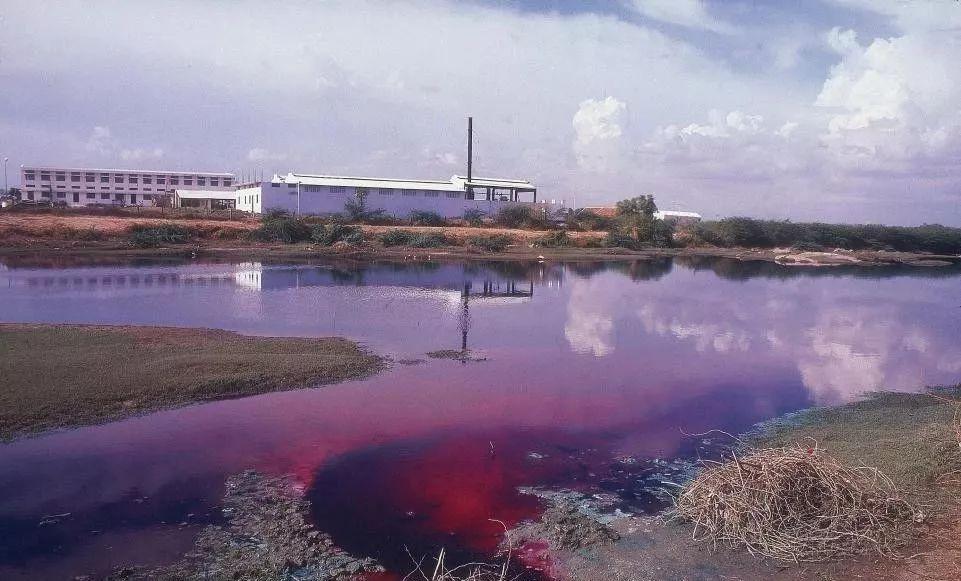 染料廢水 染料廢水