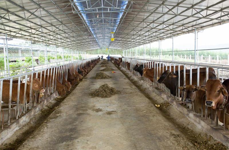 養殖場除臭劑 養殖場除臭劑