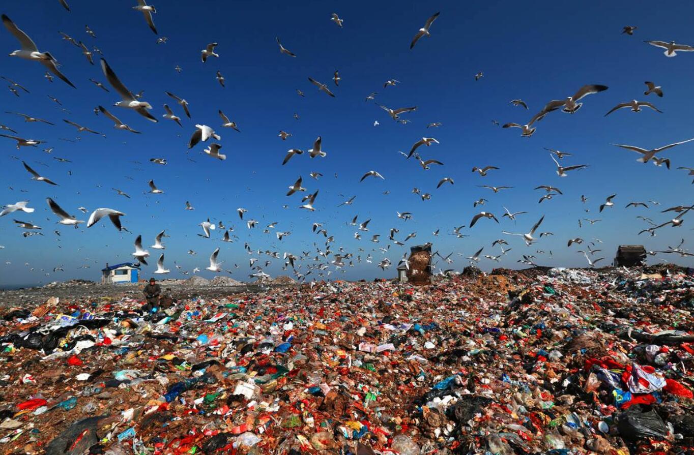 生物垃圾除臭 生物垃圾除臭