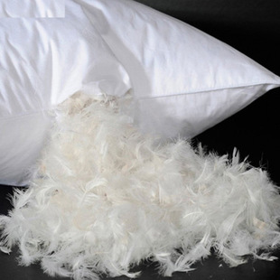 鴨毛加工除臭 鴨毛加工除臭