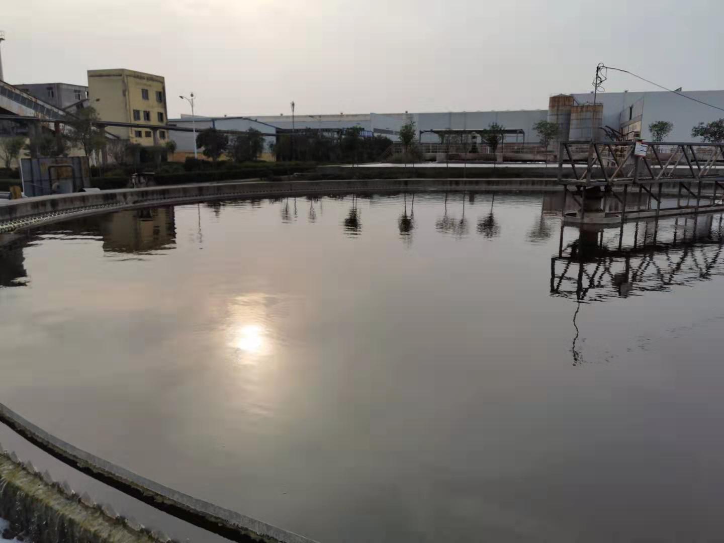 污水站除臭 污水站除臭