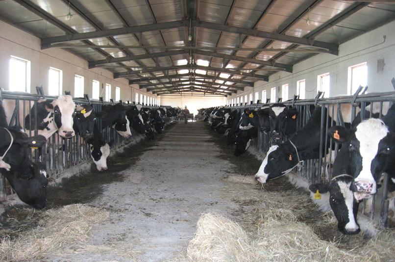 畜禽生物除臭 畜禽生物除臭