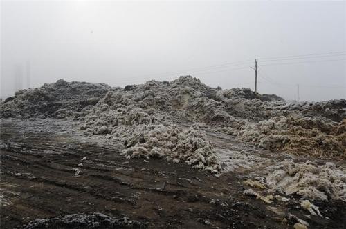 洗毛廠污泥 洗毛廠污泥